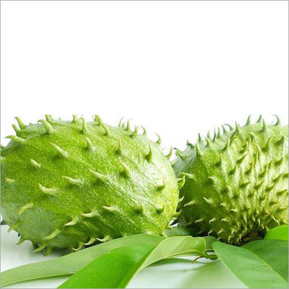 Fresh Green Soursop Seeds