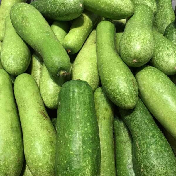Fuzzy Gourd Seeds 