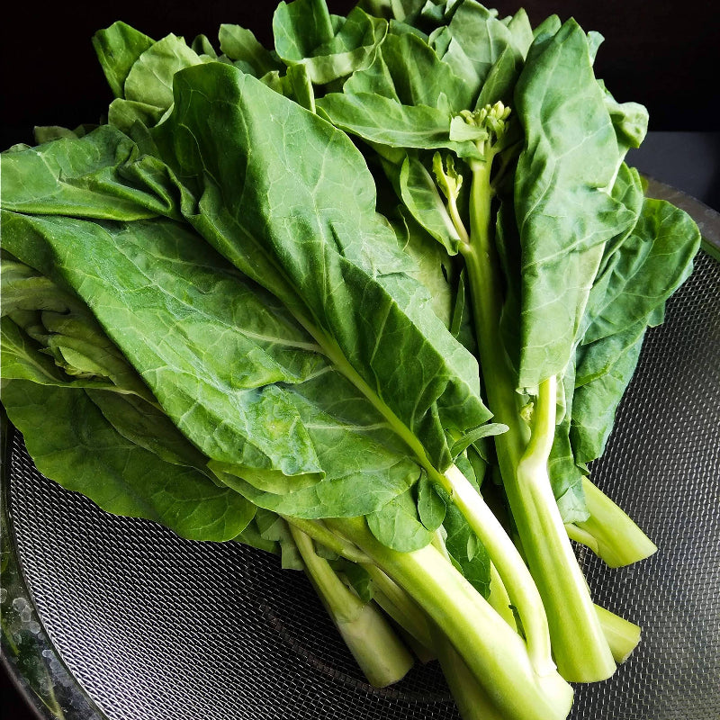 Gai Lan Seeds for Sale - Heirloom Vegetable Plant for Home Gardens