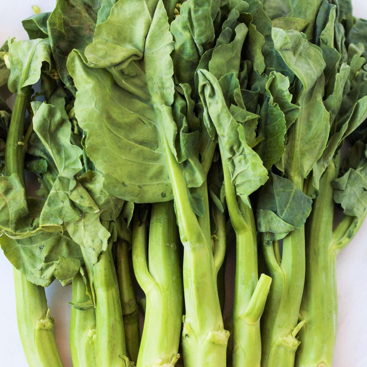 Gai Lan Seeds for Sale - Heirloom Vegetable Plant for Home Gardens