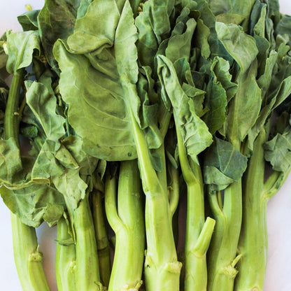 Gai Lan Seeds for Sale - Heirloom Vegetable Plant for Home Gardens