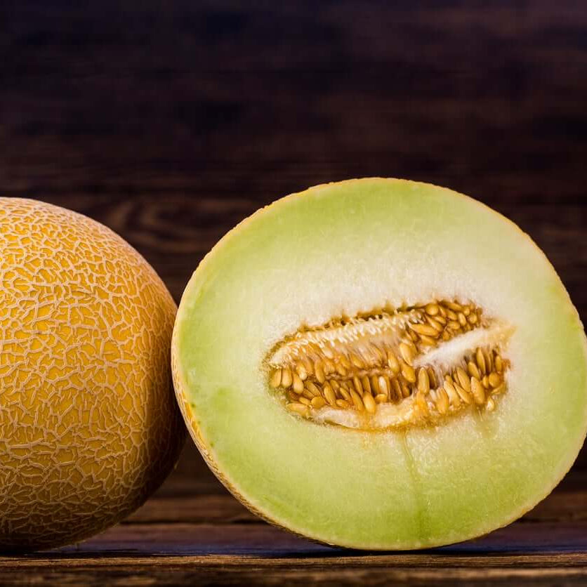 Galia Melon Seeds