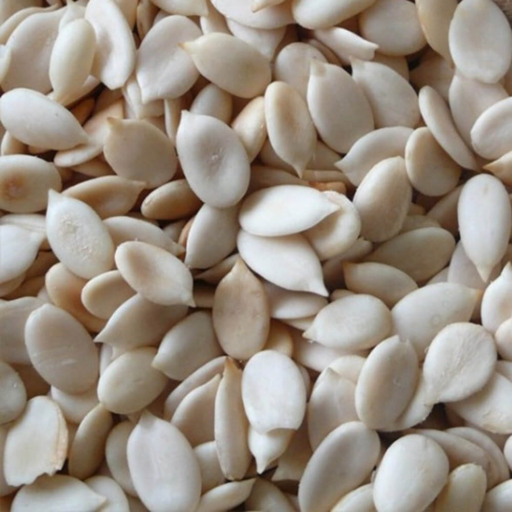 Galia Melon Seeds