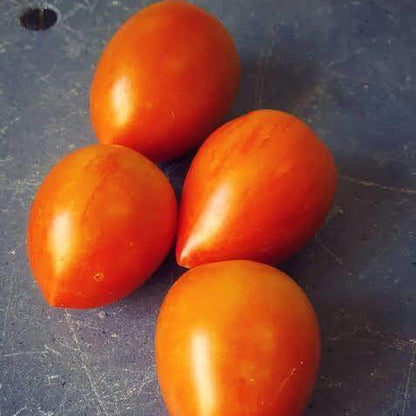 Garden Gem Tomato Seeds