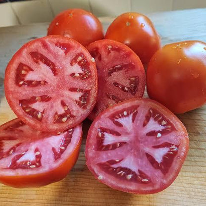 Garden Leader Monster Tomato Seeds