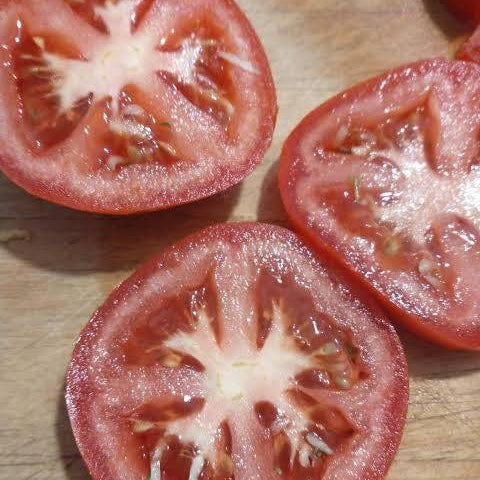 Garden Leader Monster Tomato Seeds