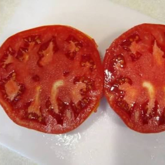 Garden Leader Monster Tomato Seeds