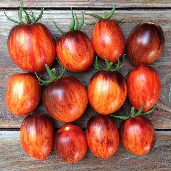 Gargamel Tomato Seeds