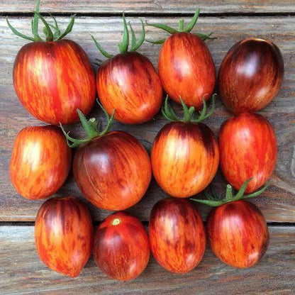 Gargamel Tomato Seeds