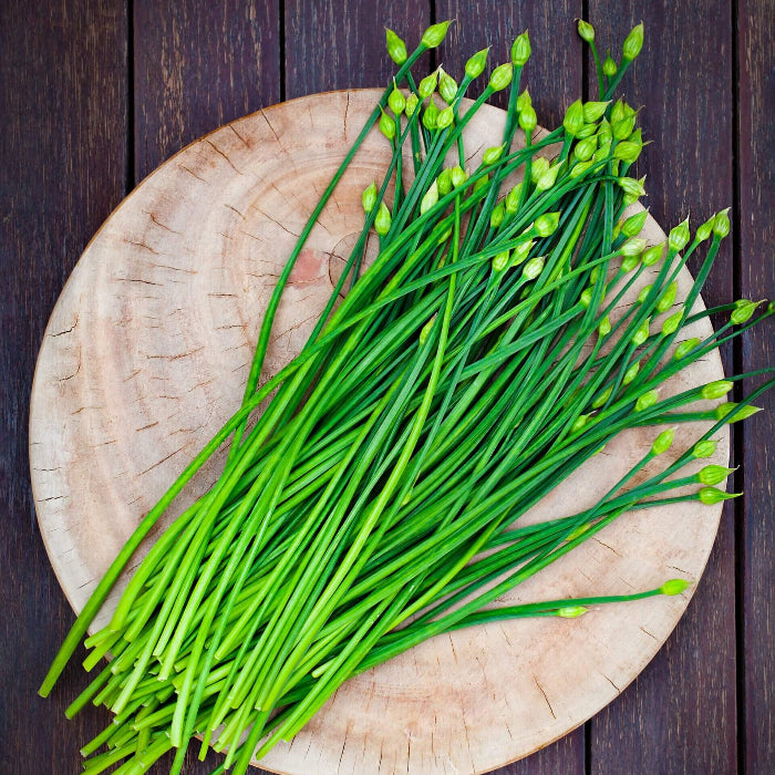 Garlic Chive Seeds