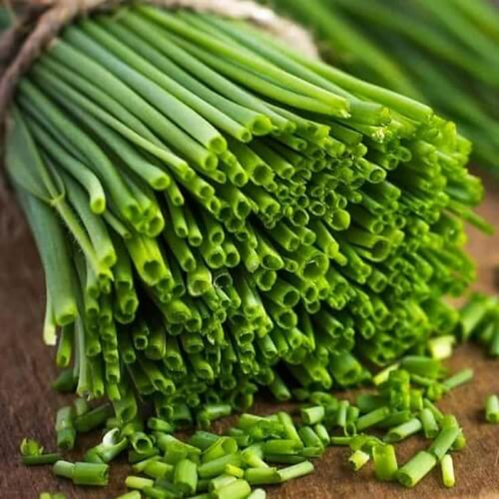 Garlic Chives Seeds - Herbal Plant