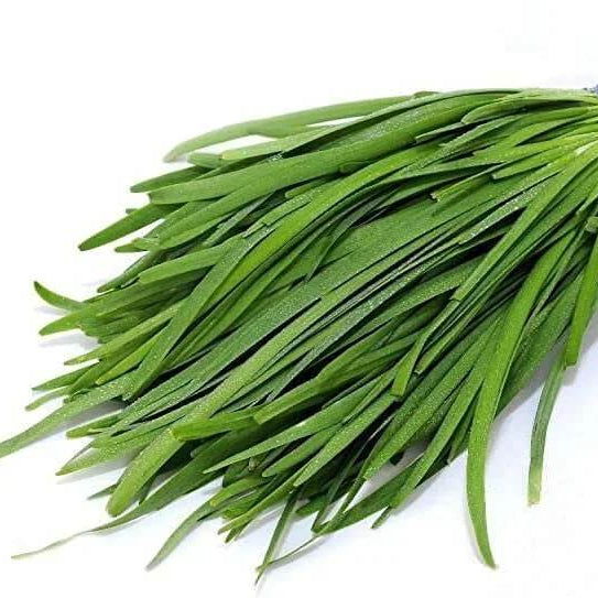 Garlic Chives Seeds - Herbal Plant