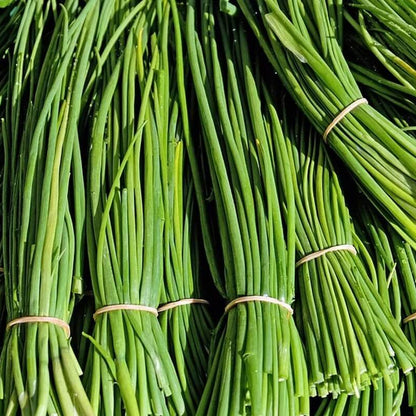 Garlic Chives Seeds - Herbal Plant