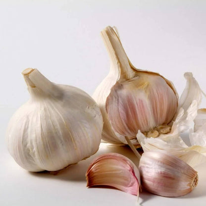 Garlic Vegetable Seeds 