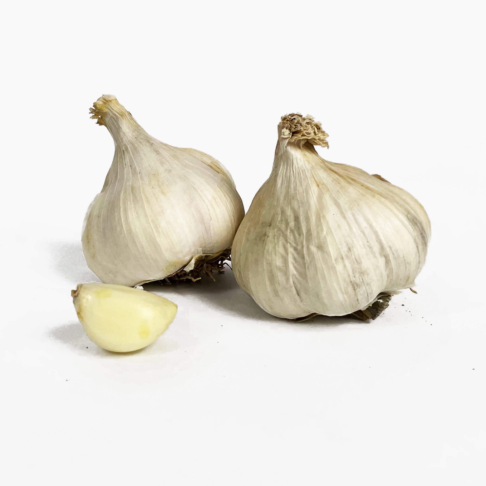 Garlic Vegetable Seeds 