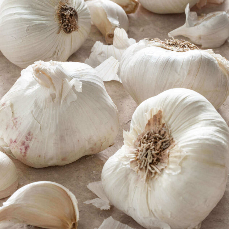 Garlic Vegetable Seeds 