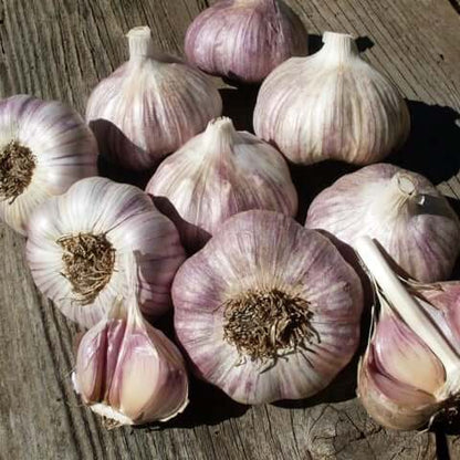 Garlic seeds - Vegetable Plant