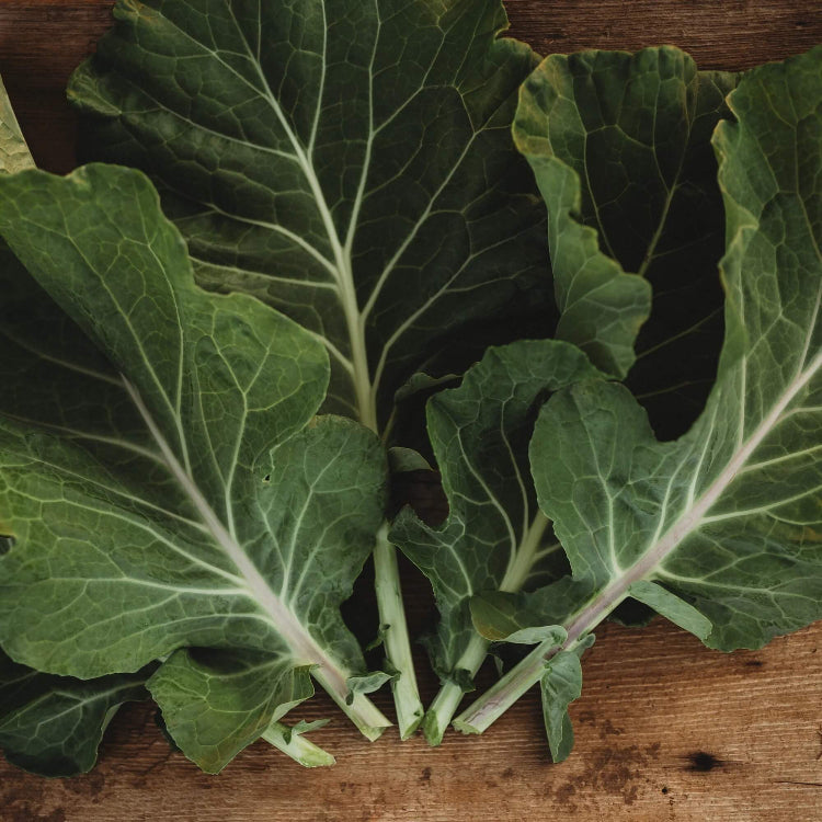 Georgia southern collard green seeds - Vegetable Plant