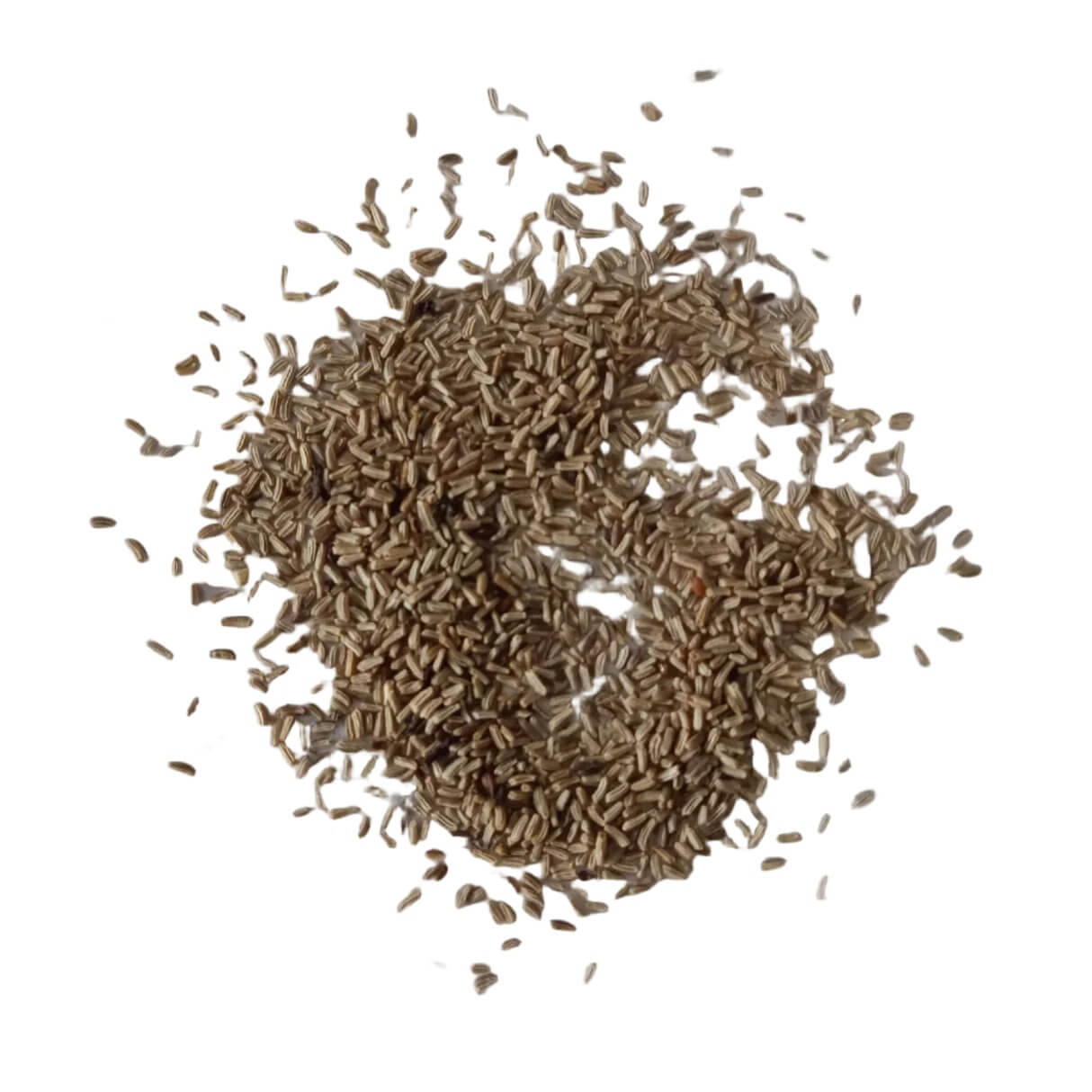 German Chamomile Chamomile Seeds