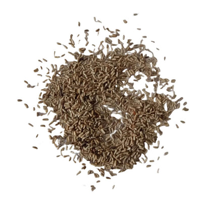 German Chamomile Chamomile Seeds