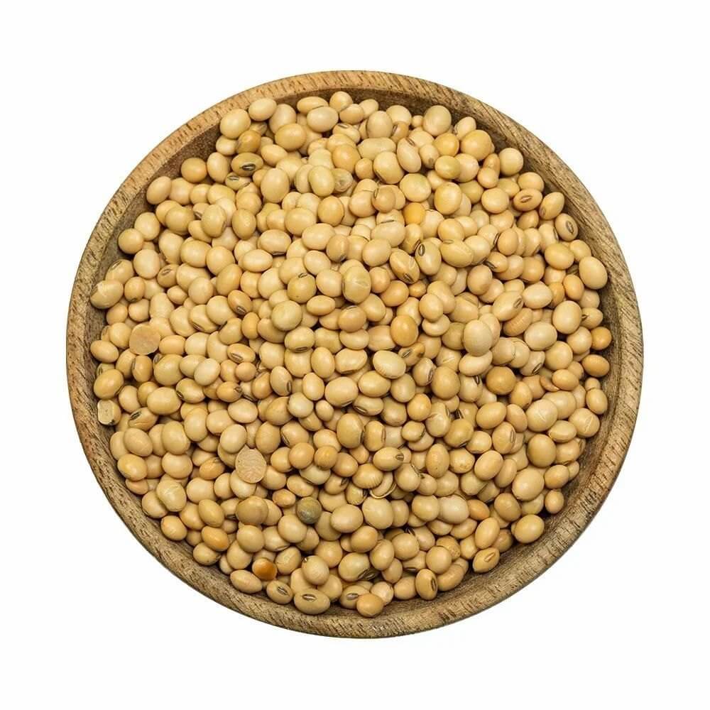 Giant Soybean Seeds