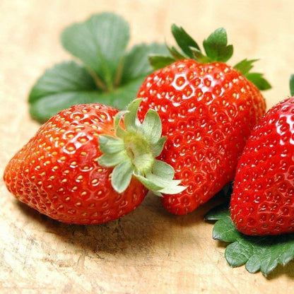 Giant Strawberry Seeds