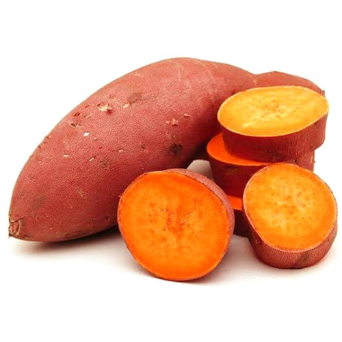 Giant Sweet Potato Seeds