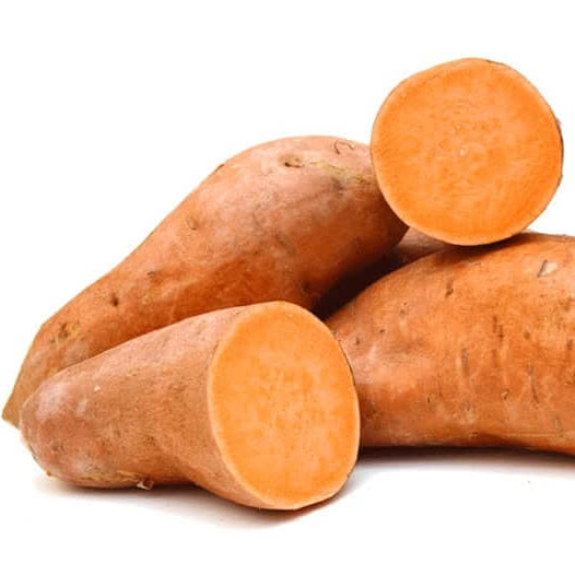 Giant Sweet Potato Seeds