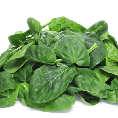 Giant noble spinach seeds - Vegetable Plant