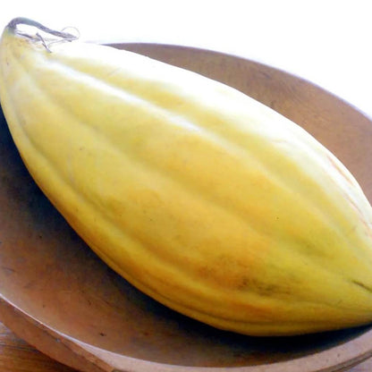 Gold Banana Melon Seeds 
