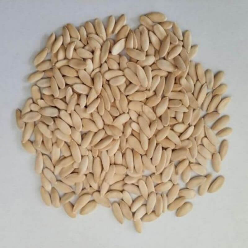 Gold Banana Melon Seeds 