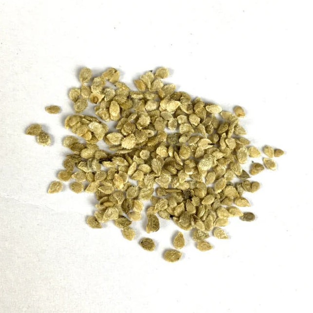 Gold Tomato Seeds