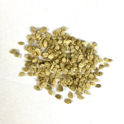 Gold Tomato Seeds