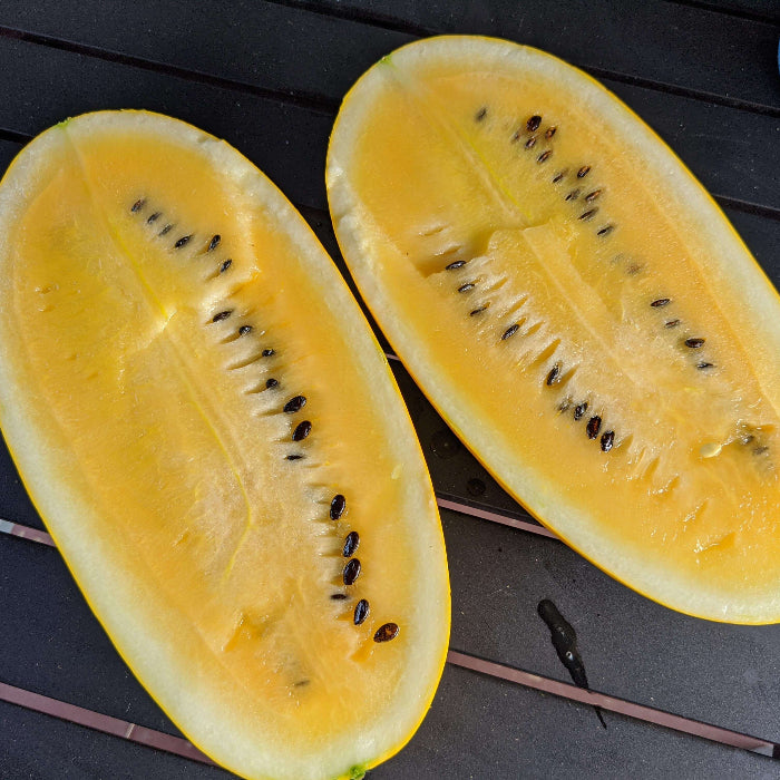 Gold in Gold Watermelon Seeds