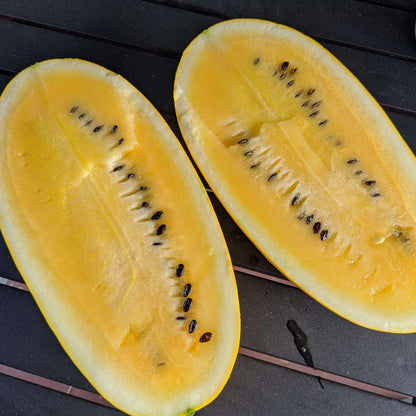 Gold in Gold Watermelon Seeds