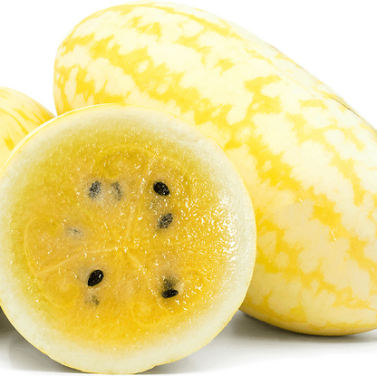 Gold in Gold Watermelon Seeds