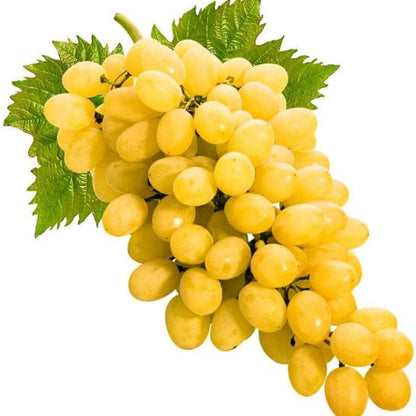 Golden Grapes Seeds