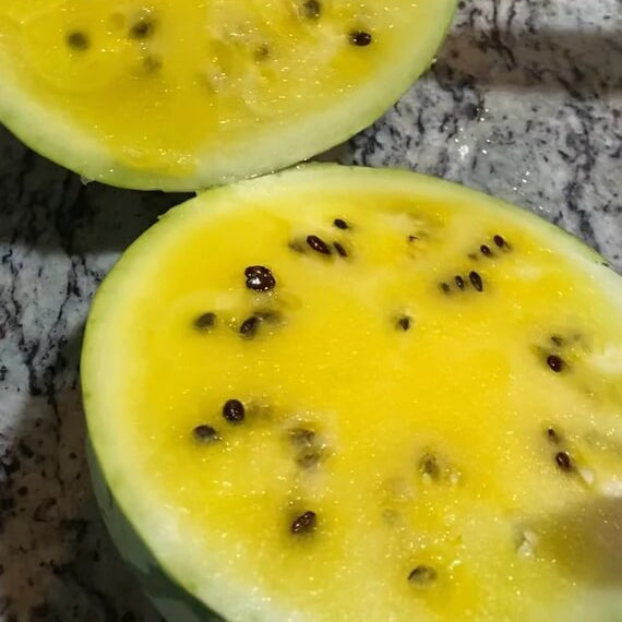 Golden Honey Watermelon Seeds