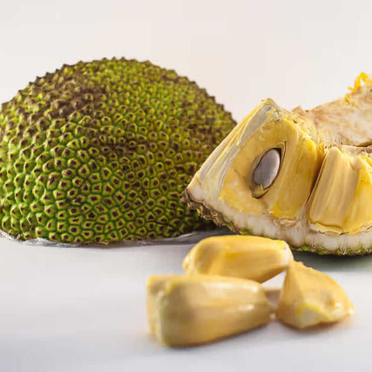 Golden Pillow Jackfruit Seeds 