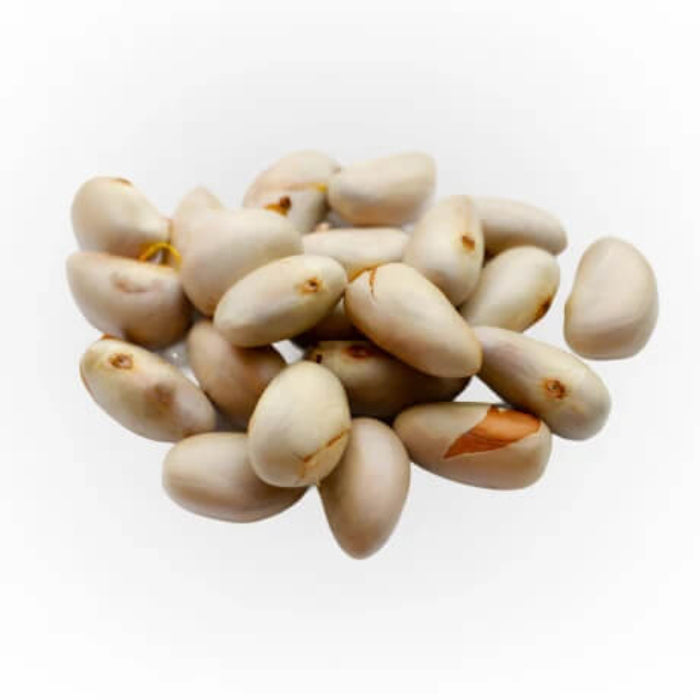 Golden Pillow Jackfruit Seeds 