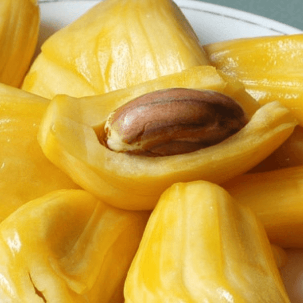 Golden Pillow Jackfruit Seeds 