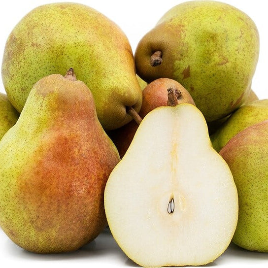 Golden Russet Pear Melon Seeds