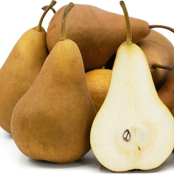 Golden Russet Pear Melon Seeds