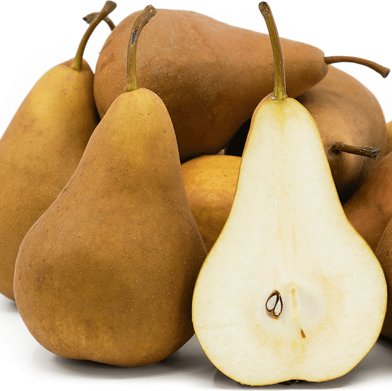 Golden Russet Pear Seeds