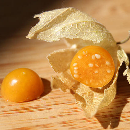 Golden berry seeds - Fruit Plant