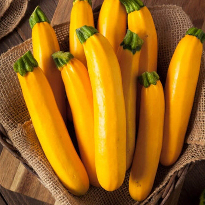 Golden zucchini seeds - Vegetable Plant