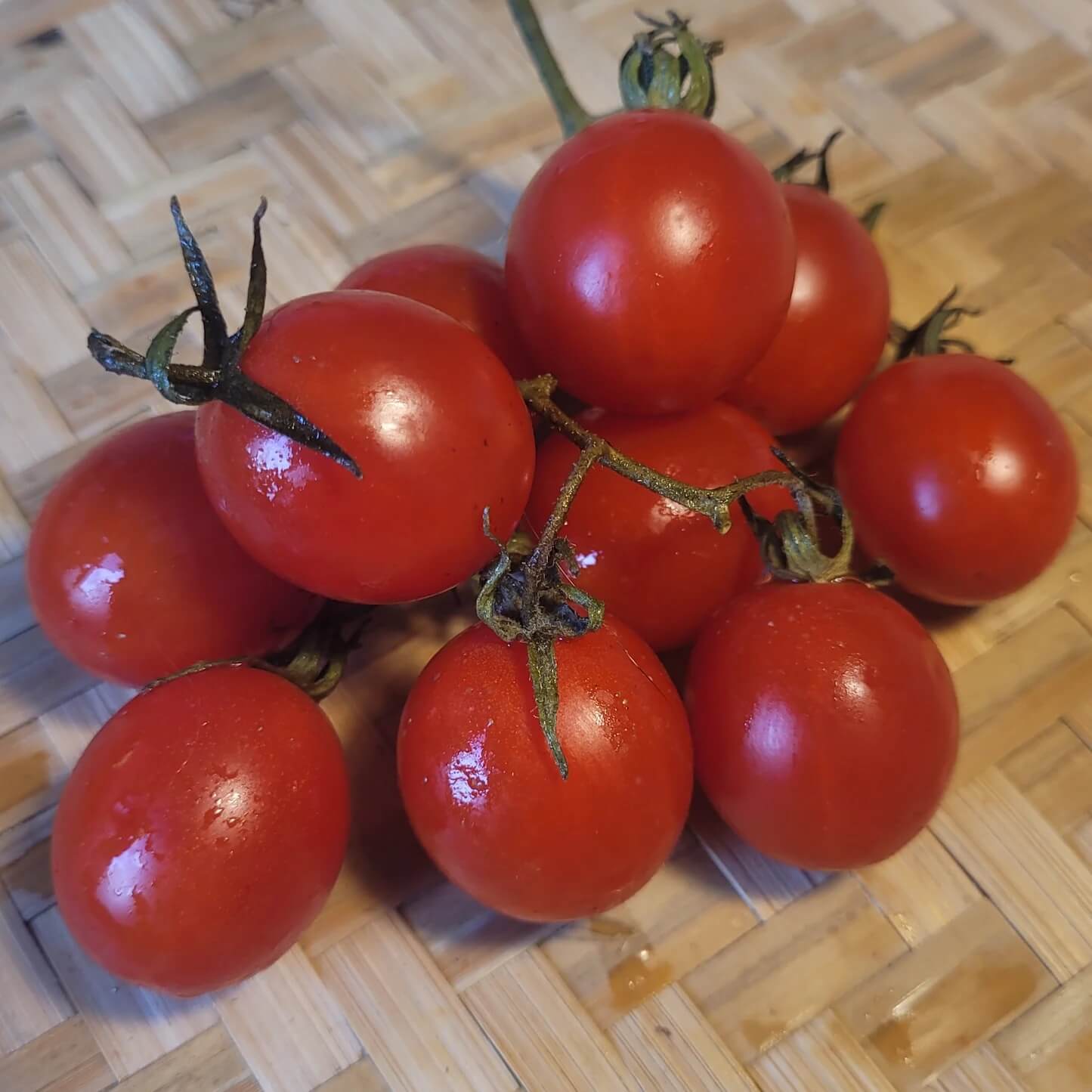 Grappoli D'Inverno Winter Cherry Tomato Seeds