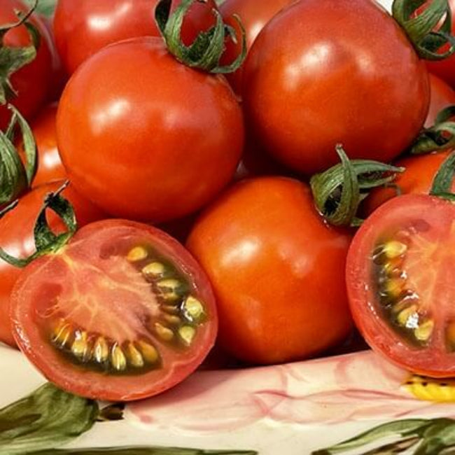 Grappoli D'Inverno Winter Cherry Tomato Seeds