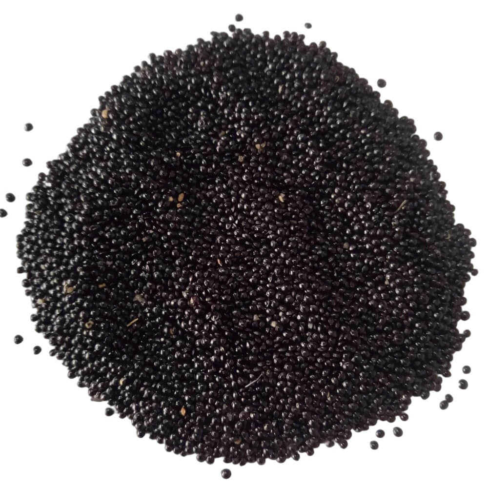  Green Amaranth Seeds