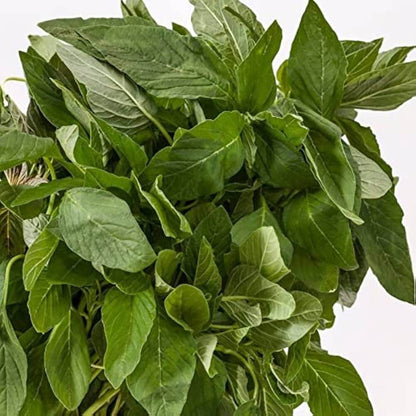  Green Amaranth Seeds